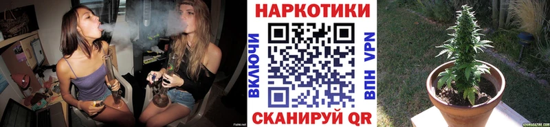 Где купить Шацк COCAIN Амфетамин Канабис Галлюциногенные грибы A-PVP ГАШИШ